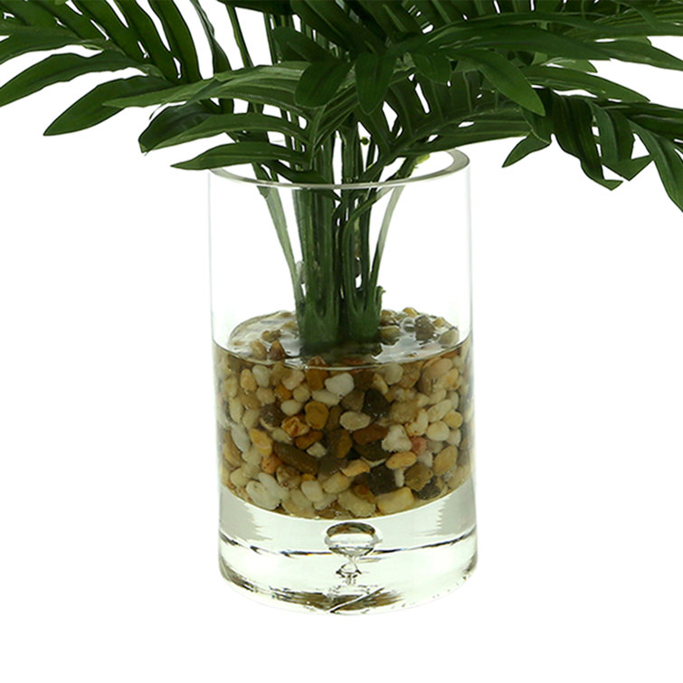 Creative Displays, Inc. Rockwood Faux Palm Plant in Glass Vase Perigold